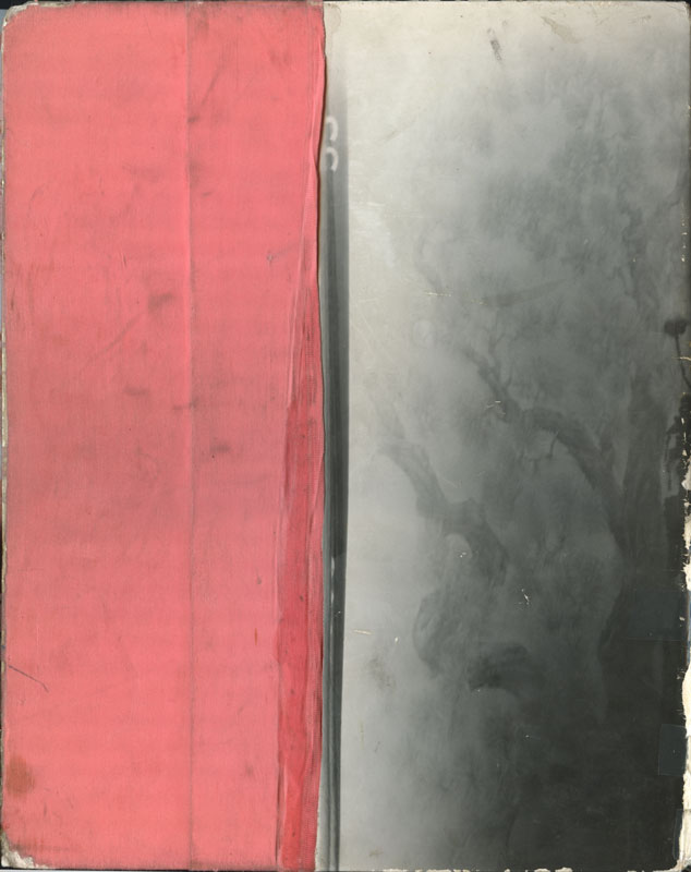 Back cover of sketchbook 22B: half faded red cloth, half a smoky photographic print of gnarled tree branches