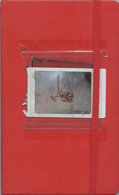 Cover of sketchbook 35: a red Moleskine planner with a Polaroid of dried leaves taped under plastic, dated 2008/11/16
