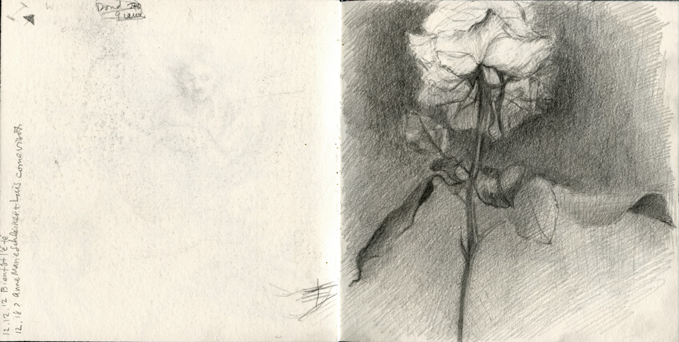 Sketchbook 45: a white rose in graphite against a dark hatched ground, its stem crossing two curled leaves — dated notes opposite mention Bientôt l'été and Anne Carson