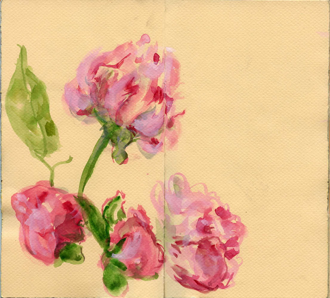 Sketchbook 46 spread: loose watercolor peonies in rose and magenta with sap-green leaves, blooming across the gutter of the tan pages Sketchbook 46 spread: loose watercolor peonies in rose and magenta with sap-green leaves, blooming across the gutter of the tan pages