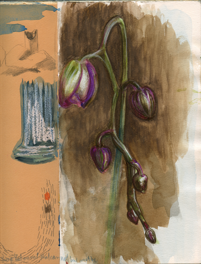 Sketchbook 46 spread: orchid buds barely open, purple and green against a brown wash — 'things that are not, that cannot, but must be' — beside a chalk study of a weathered column and rooftop Sketchbook 46 spread: orchid buds barely open, purple and green against a brown wash — 'things that are not, that cannot, but must be' — beside a chalk study of a weathered column and rooftop
