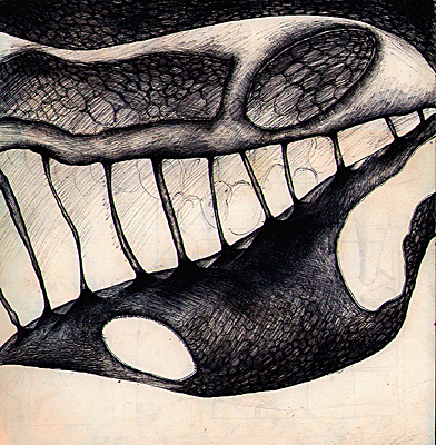 Sketchbook 5: dense ballpoint drawing of a horse-like skull in profile, its teeth and cranial plates crosshatched into a black-and-white pattern